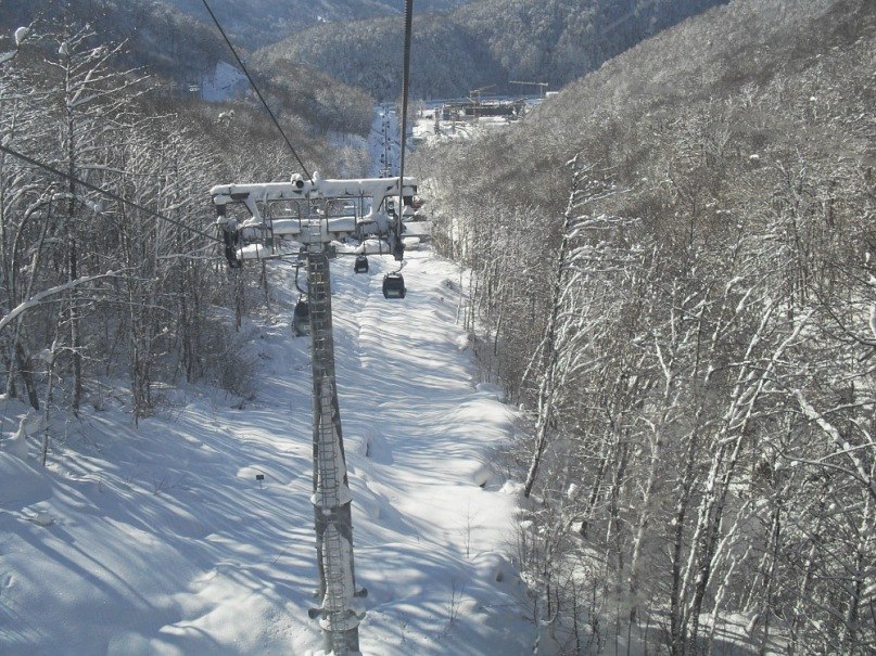 Мах Задворнов | Омск