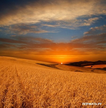 №45, Артур Назаров, München №45, Артур Назаров, München