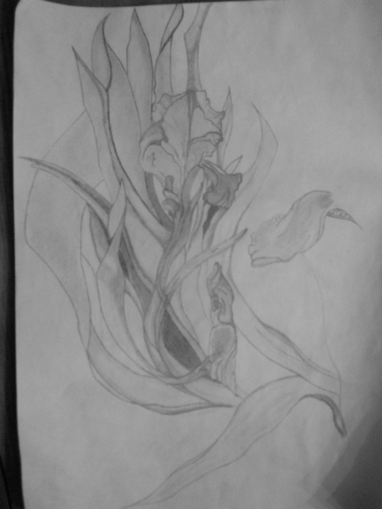 Алексей Могилевкин White^WOLF | Киев