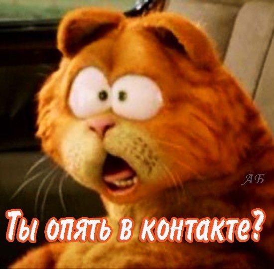 №94, Татьяна Панченко-Мусийченко, 43 года, Борисполь №94, Татьяна Панченко-Мусийченко, 43 года, Борисполь