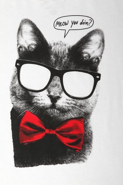 Егорка Сурков | Москва