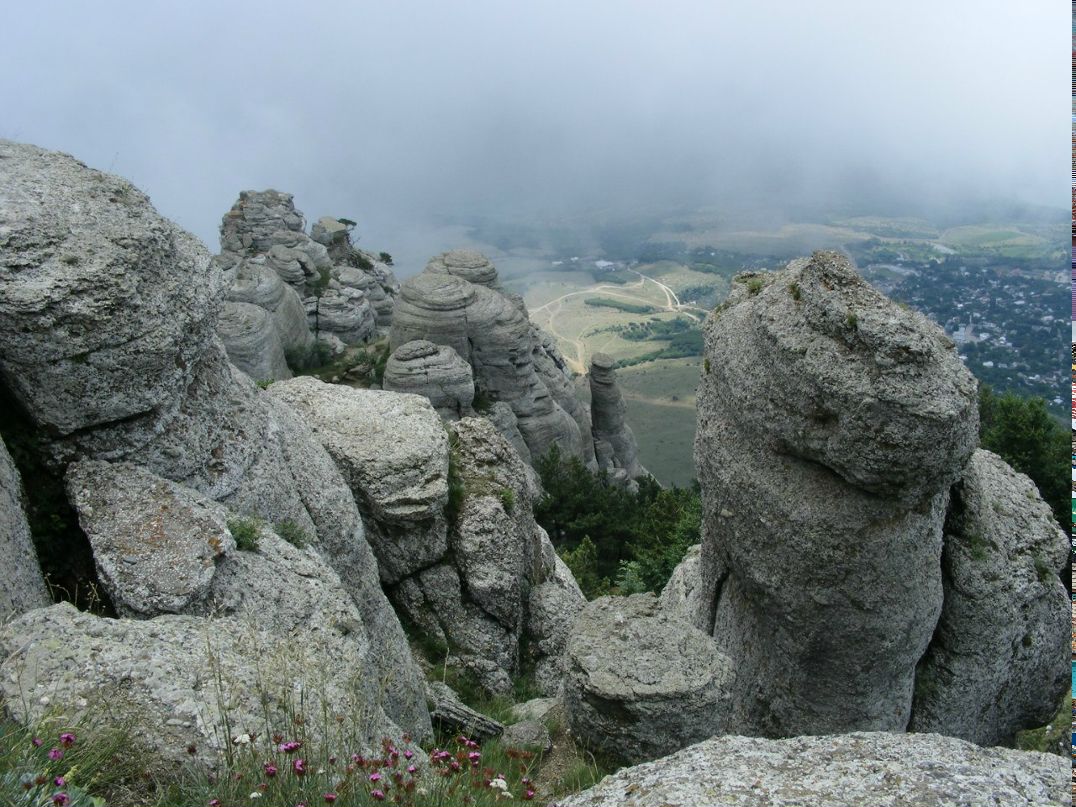 Юлиана Задрановская | Киев