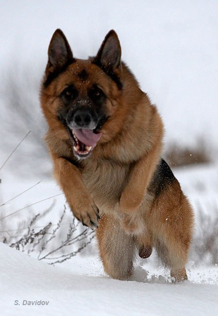 Женя Герцан ((( P @ T R O $ I K ))) | 