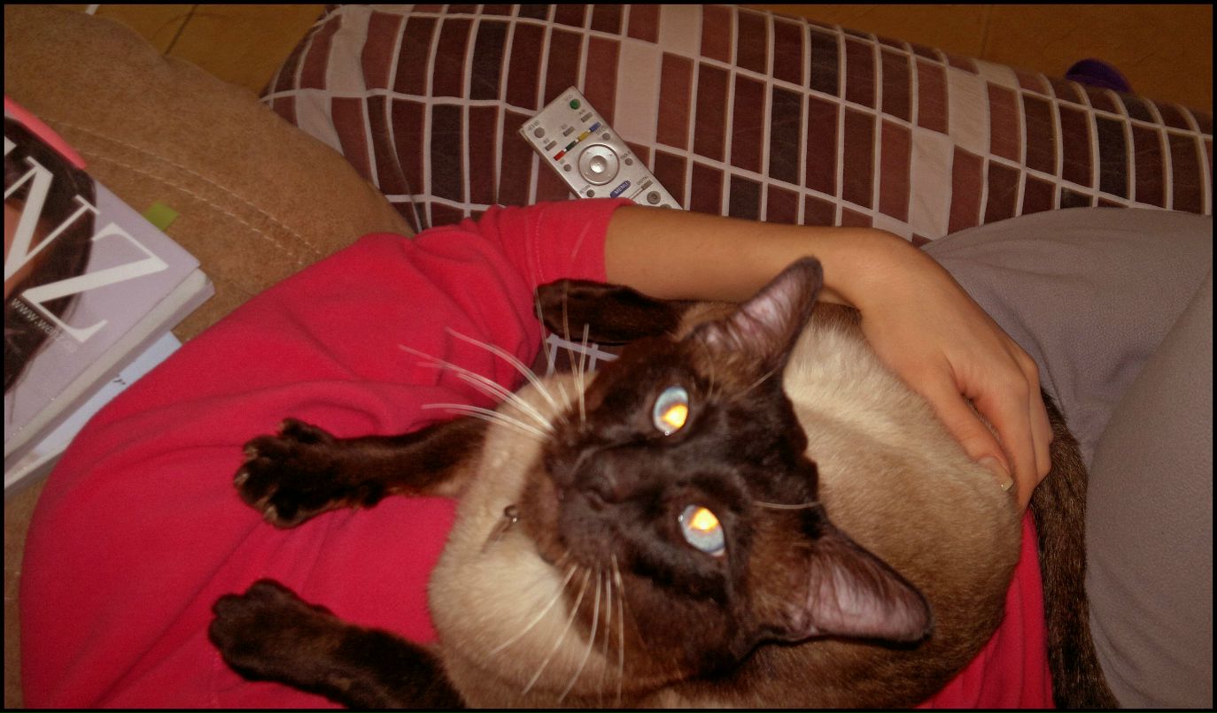 Лиленька Яковченко | Москва