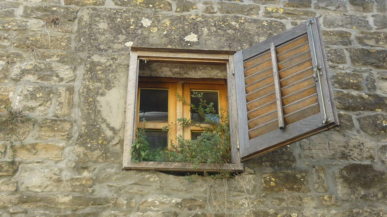 Юрий Юша | Ростов-на-Дону