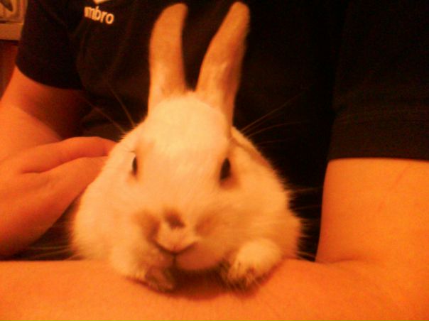 №14, Анна Авданина №14, Анна Авданина