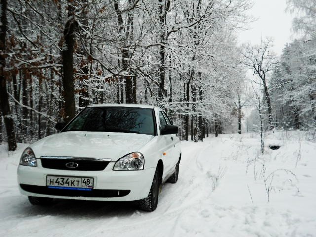 Александр Шибин | Липецк