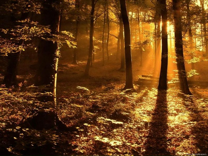 №85, Наталья Булгакова, Севастополь №85, Наталья Булгакова, Севастополь