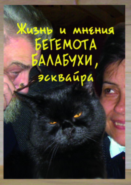 Бегемот Балабуха Андреевич | Санкт-Петербург