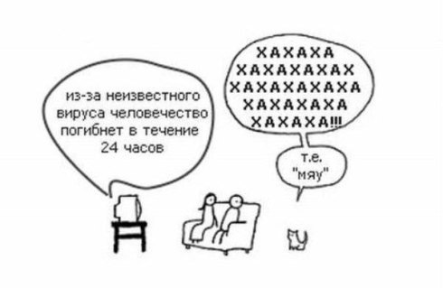 №7, Анна Шатова, Санкт-Петербург №7, Анна Шатова, Санкт-Петербург
