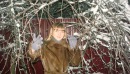 №16 Светлана Владимировна
