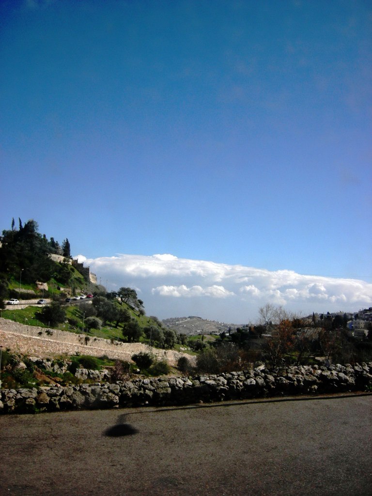 Елена Никитина | Москва