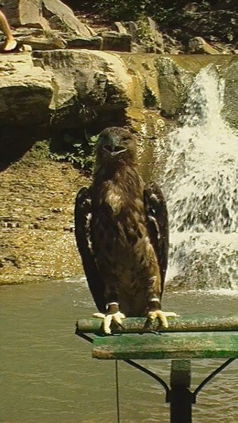 №93, Ольга Быкова, Новодугино №93, Ольга Быкова, Новодугино