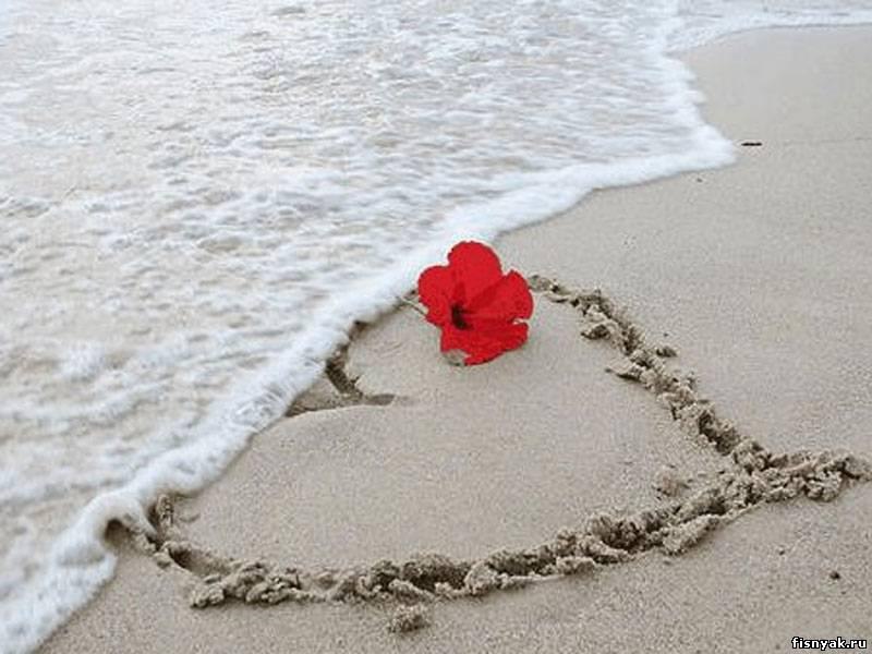 Katongo Chanda JAMES | Сумы