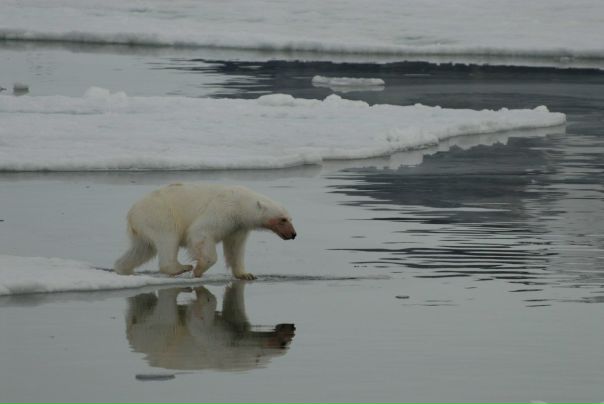 №4, Вячеслав Милхен №4, Вячеслав Милхен