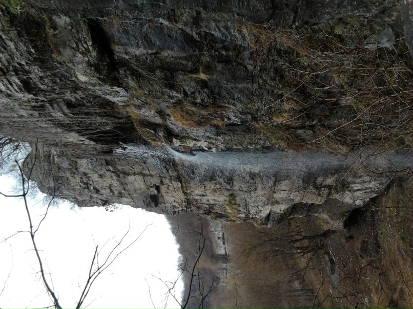 Саня Педяш | Варва