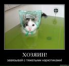 Фотография Юлия Алтунина