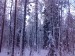 Сергей Засимов фотография #8 (источник - https://vk.com/id78061354)