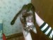 Инна Плотникова фотография #42