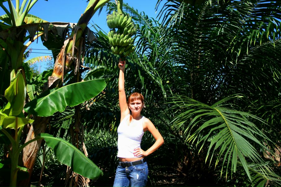 №69, Катерина Германенко, Москва №69, Катерина Германенко, Москва