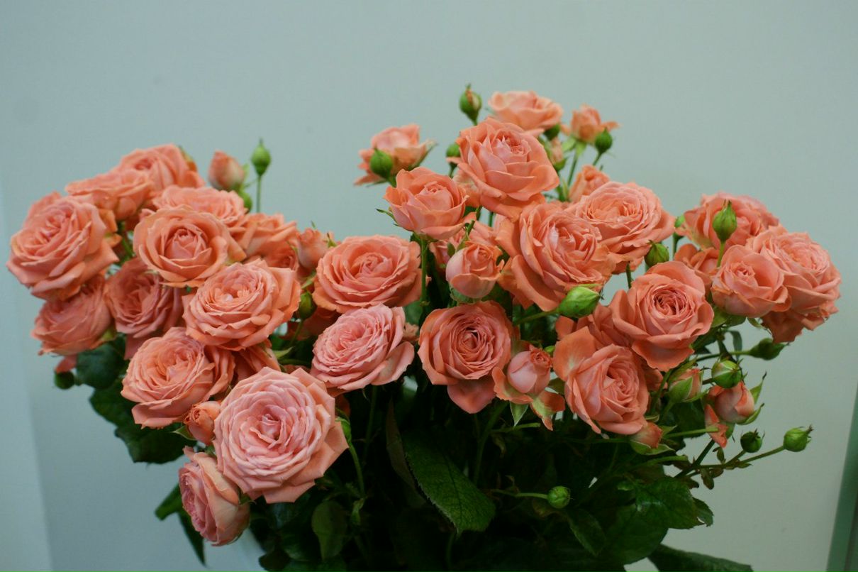 Оксана Башинская | Северодвинск