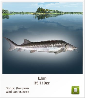 Виктория Полонская | Горишние Плавни / Комсомольск