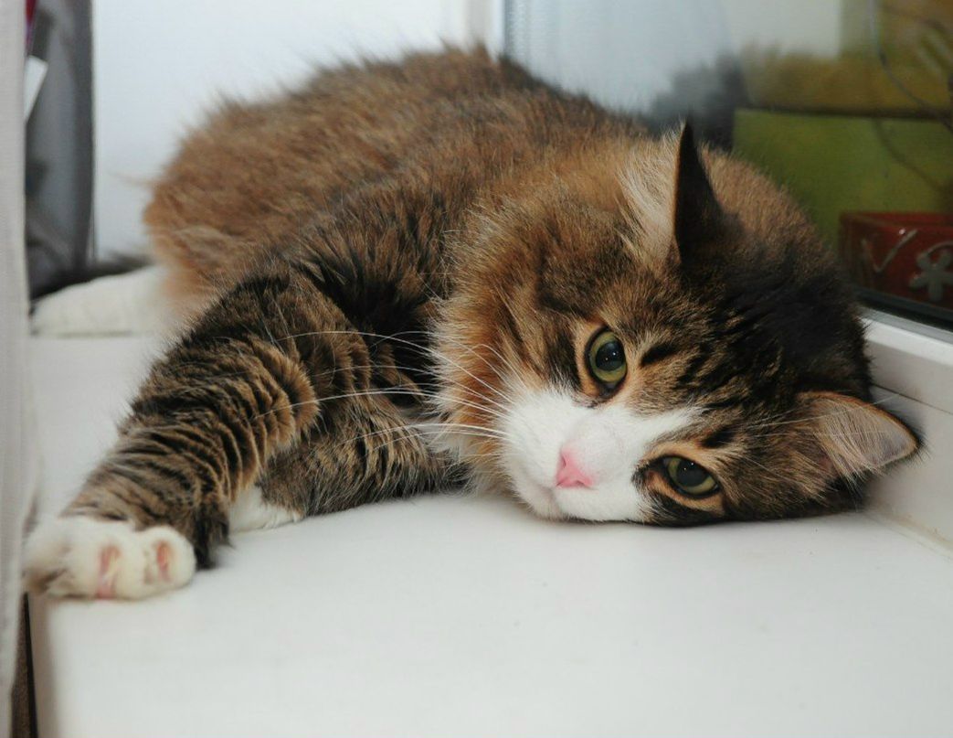 Наталья Чернова | Санкт-Петербург