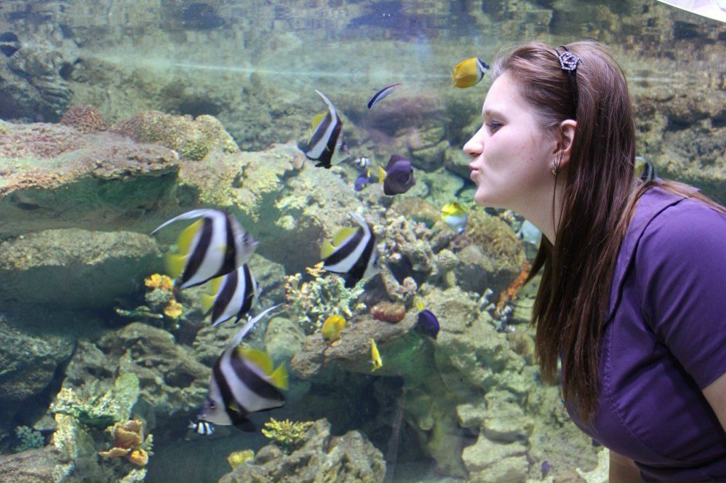 Ольга Кобелева | Алексеевка