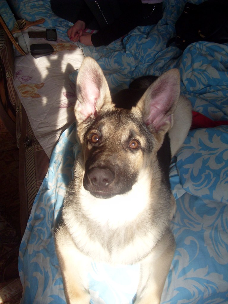 Дмитрий Чёрный Black Man | Старый Оскол