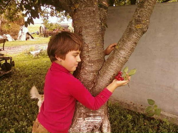 №13, Мар'яна Можаровська №13, Мар'яна Можаровська