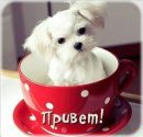 Фотография Серёжа Фролов