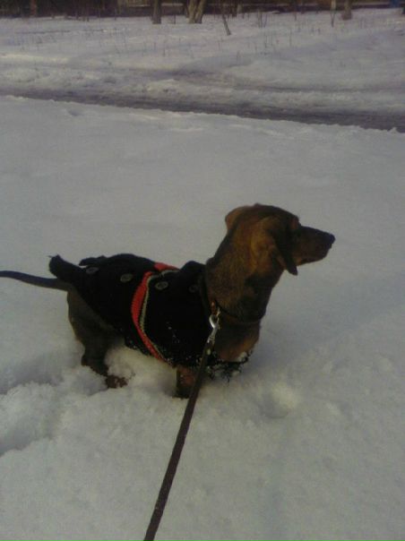 №13, Ярослава Черенкова, Донецк №13, Ярослава Черенкова, Донецк