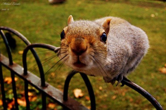 Ксения Андреевна █▓▒░твоя  белка░▒▓█ | Ростов-на-Дону