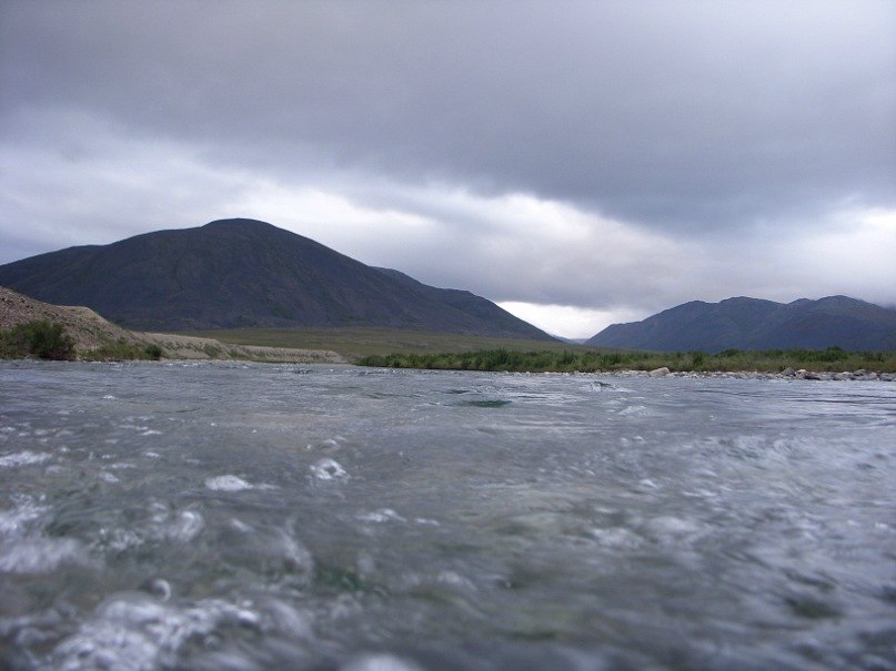 Павел Мельдер | Воронеж