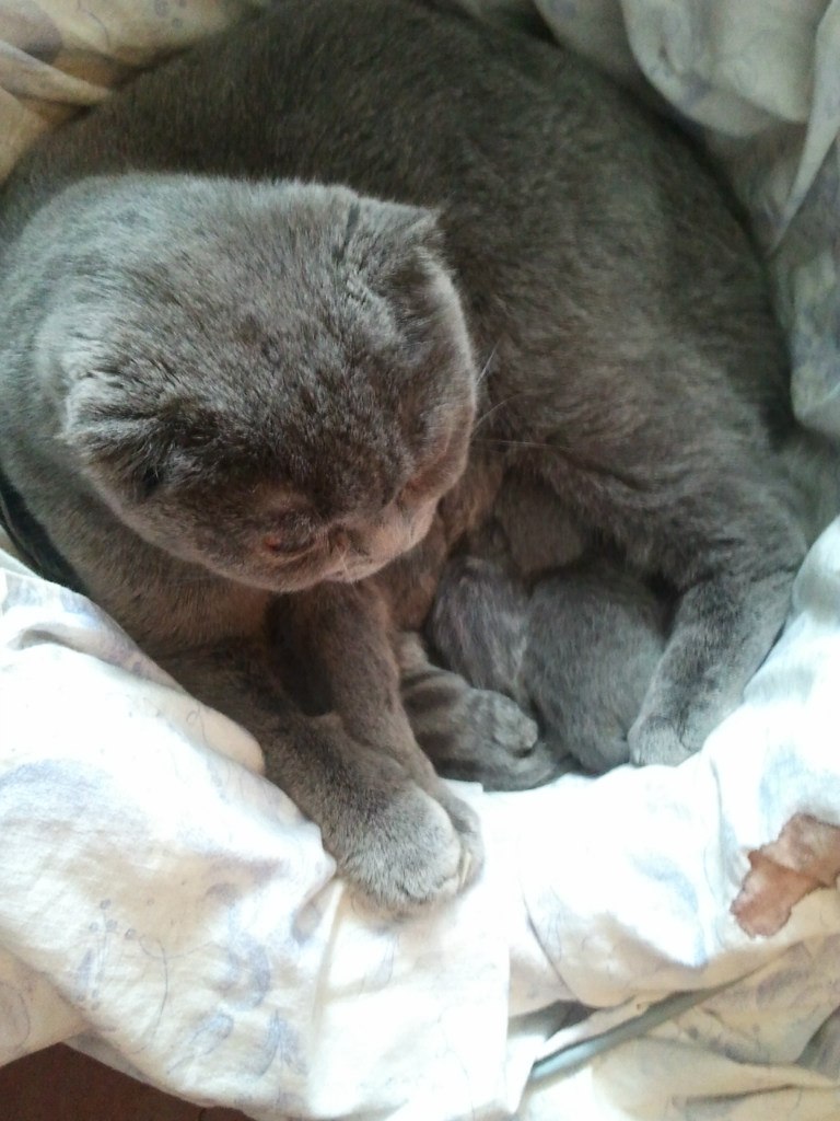 Вова Хомченко | Москва