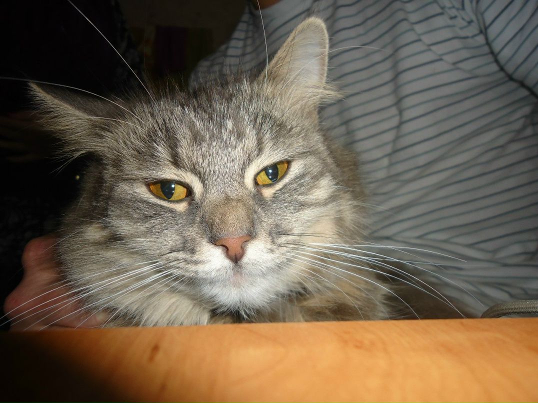 Андрей Мустаков | Петрозаводск