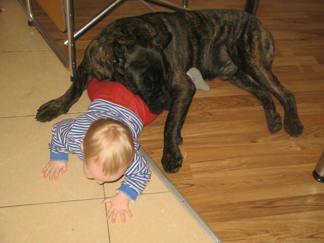 Наталия Чекалева | Череповец