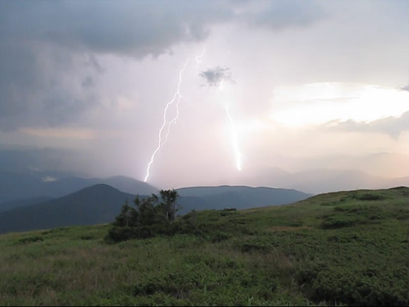 Євген Хоменко | 