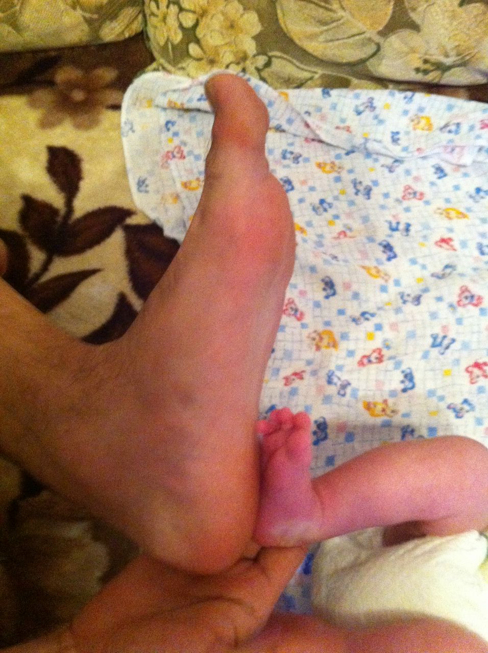 Ислам Алиев Октаевич | Санкт-Петербург