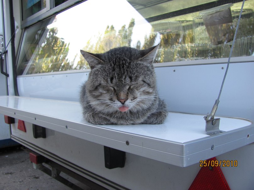 Олег Черноталов | Санкт-Петербург