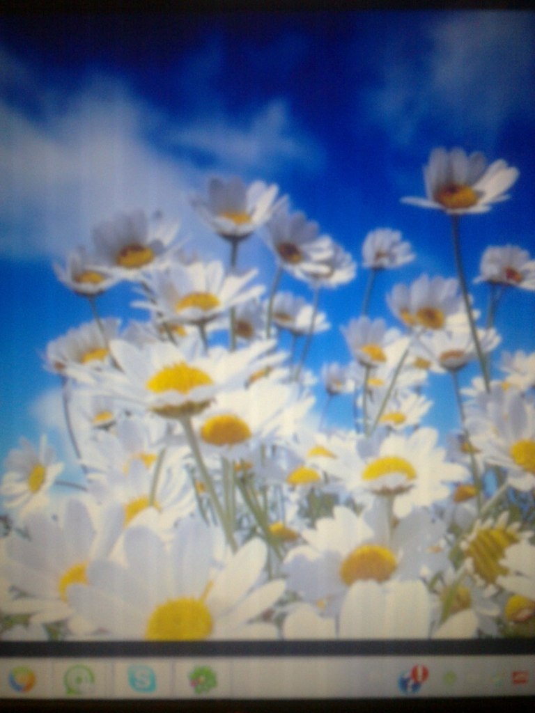 Валерия Светлова | Санкт-Петербург