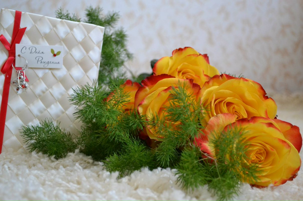 Юлия Силенок | Конаково