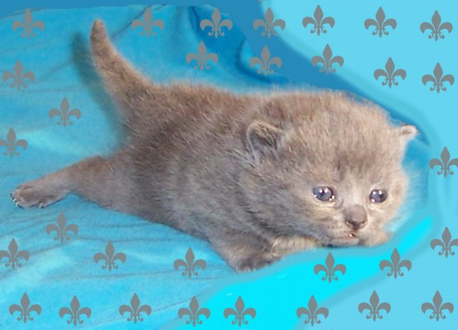 Екатерина Мальцева | Ижевск