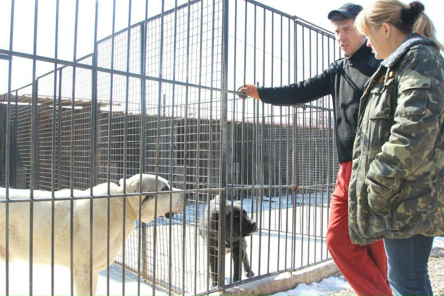 №74, Руслан Гордеев, Львов №74, Руслан Гордеев, Львов