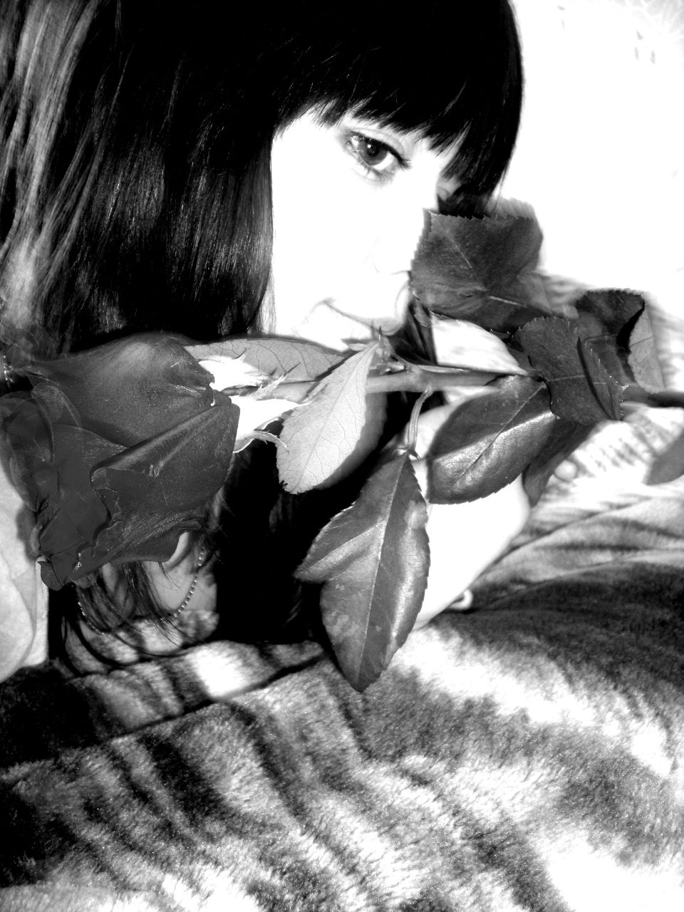 Екатерина Мякинина | Мураши