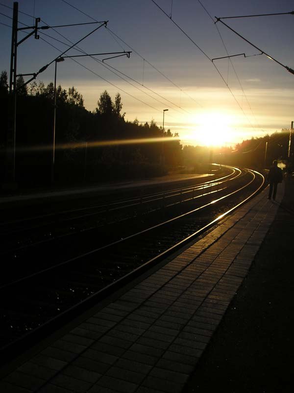 Алексей Madcool | 