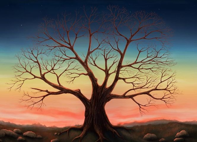 Оксана Богданова | Новосибирск