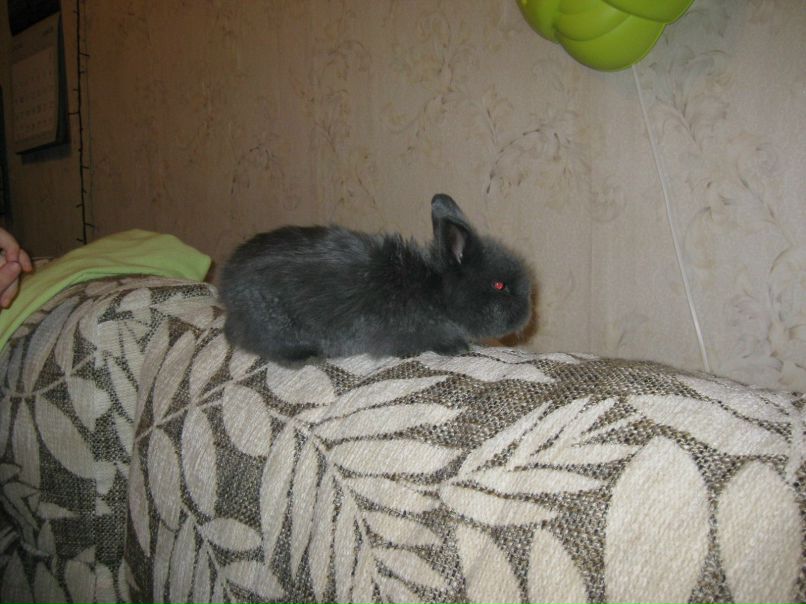 Юлия Пуякина | Москва