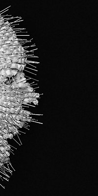 Дима Коноров | 