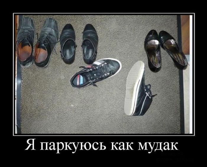 Алексей Жарков | Москва